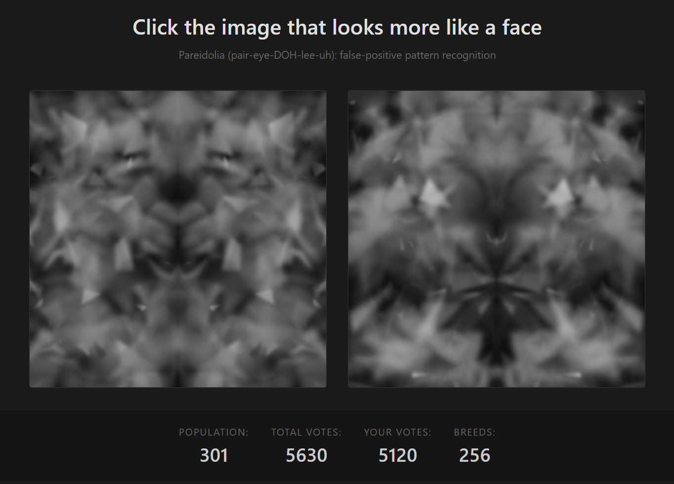 Q1 project screenshot 2